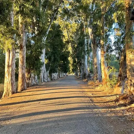 Vilă Gemuetliche Mit Pool, Extravagant, Luxurioes Ula