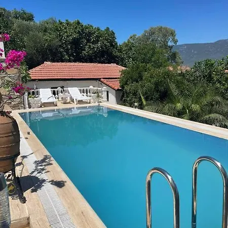 Vilă Gemuetliche Mit Pool, Extravagant, Luxurioes *