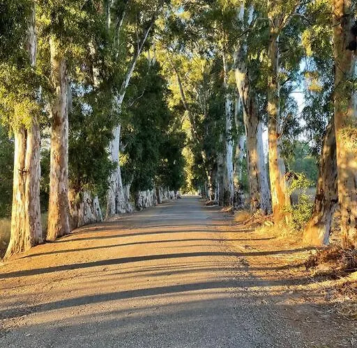 Villa Gemuetliche Mit Pool, Extravagant, Luxurioes Ula